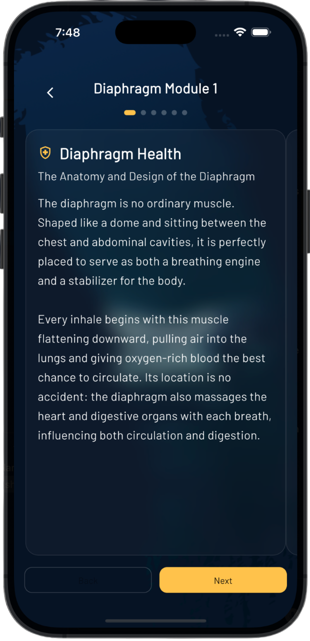 Bite-sized Education